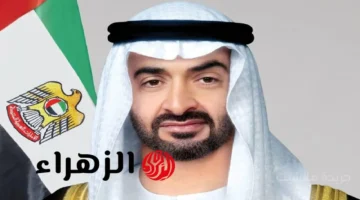 مرسوم تاريخي.. قرار جديد يمنح المصرف المركزي الإماراتي استقلالية كاملة ويعزز حماية العملاء 1